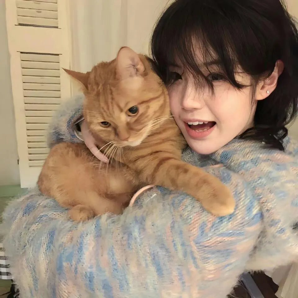 斯特莱克探案集第四季